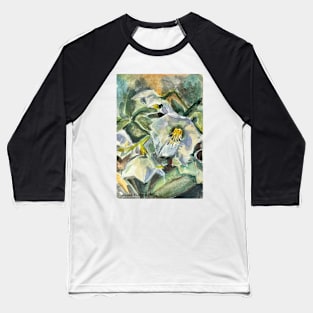 Lenten Roses Baseball T-Shirt